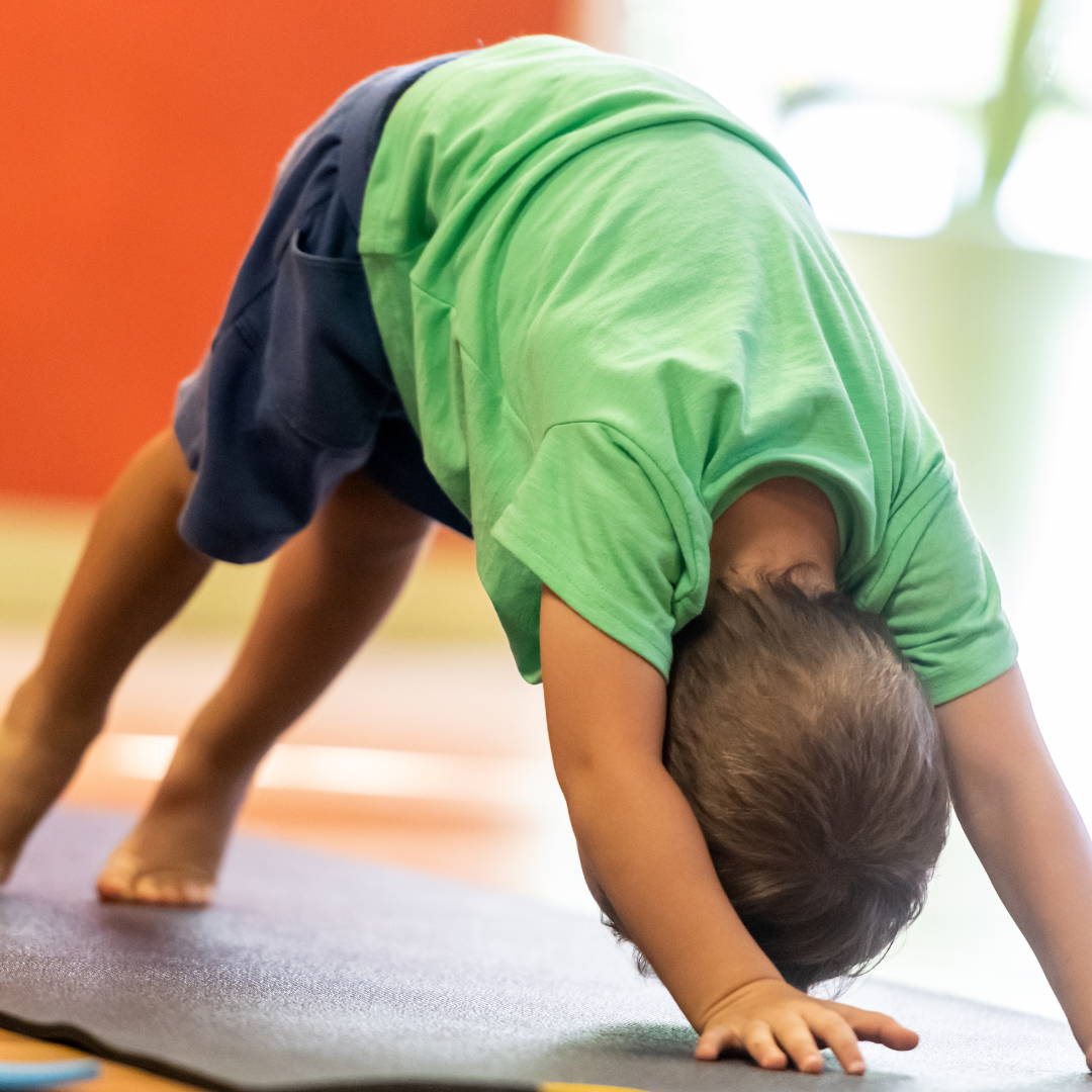 Toddler Yoga